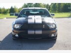 Thumbnail Photo 2 for 2007 Ford Mustang Shelby GT500